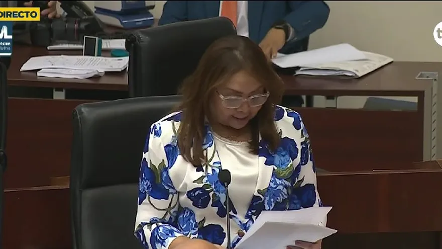 Diputada Dana Castañeda.