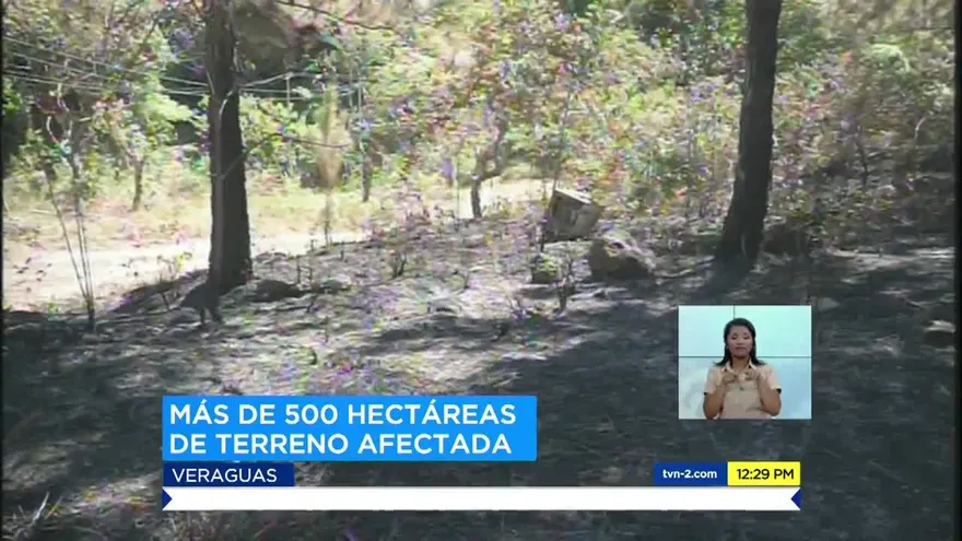 Atienden incendio forestal en Cañazas, Veraguas