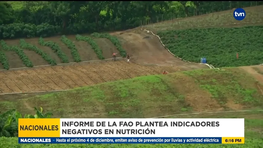 Indicadores de nutrición de Panamá no son favorables