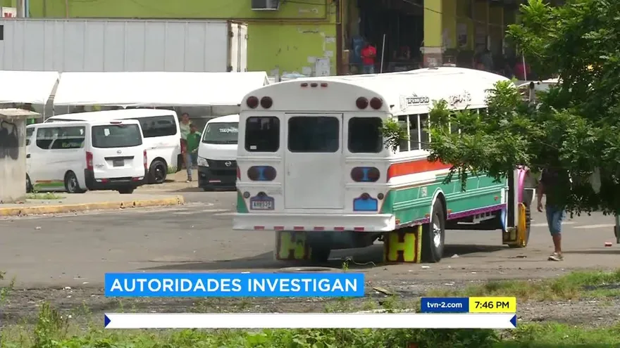 Autoridades reaccionan a denuncia por buses con placas alfanuméricas