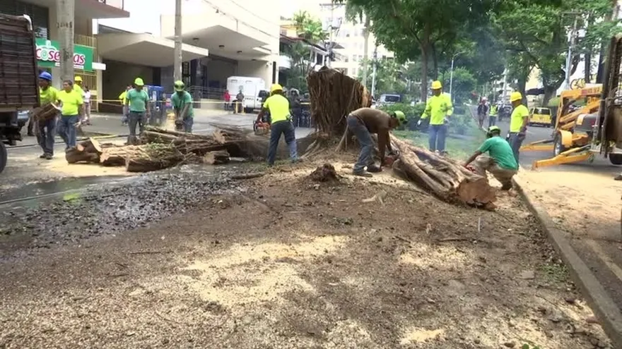 Las causas de las inundaciones