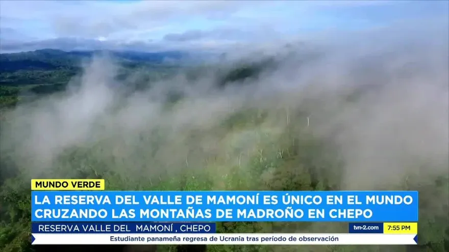 La importancia de la reserva del Valle del Mamoní