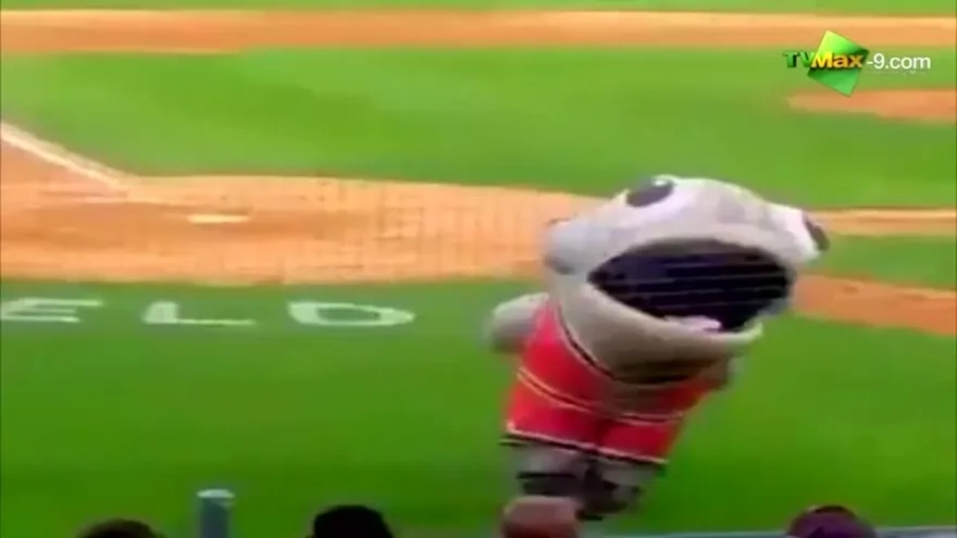 Una mascota se come jugador y fanáticos lo disfrutan