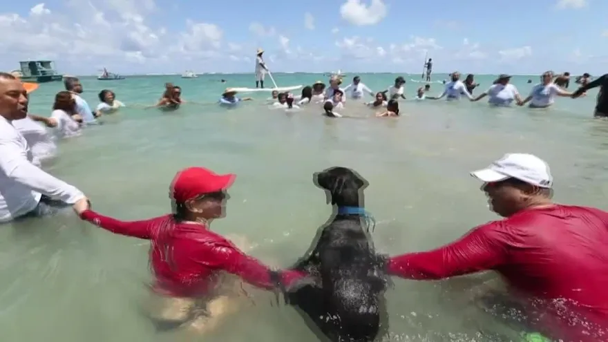 Abrazo simbólico a playa brasileña tras limpieza de petróleo
