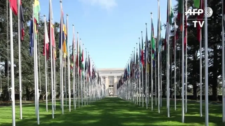 ONU reanuda envío de ayuda a Siria y espera nueva tregua