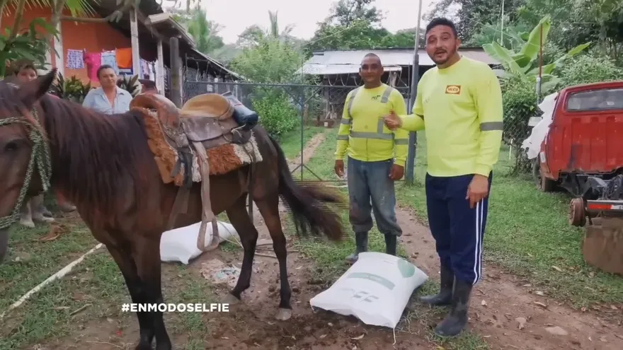 Hecho en Panamá 31 de Octubre de 2020