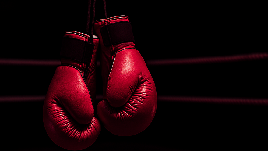 Guantes de boxeo (imagen ilustrativa)