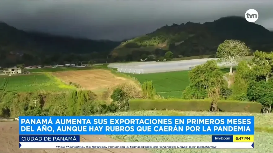 Panamá ve un aumento en sus exportaciones, aunque hay rubros que caerán debido a la pandemia