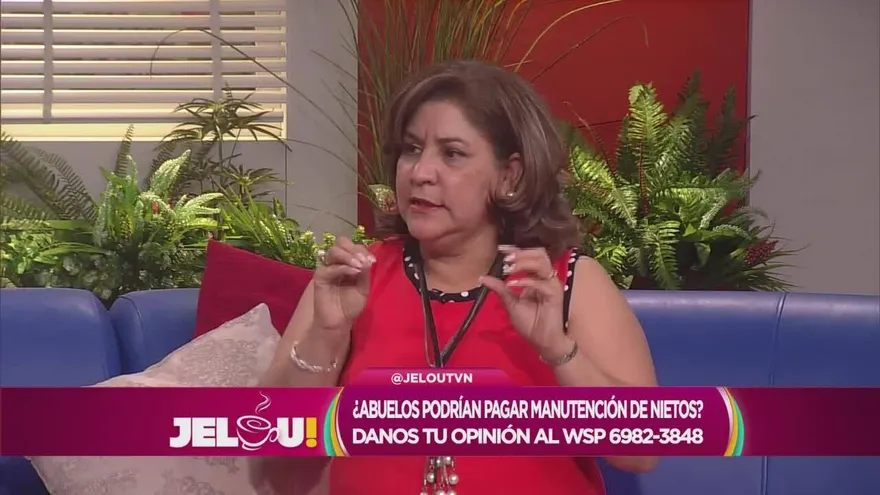 ¿Abuelos podrían pagar manutención de nietos?