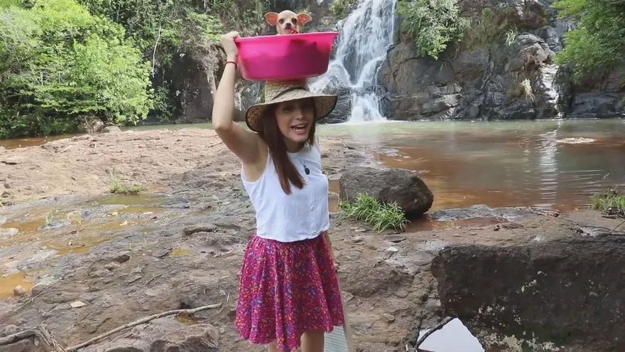 Hecho en Panamá 6 de Junio de 2020