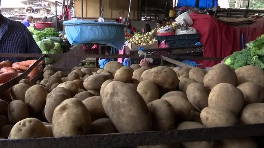 Confirman sobreproducción de papas en tierras altas de Chiriquí