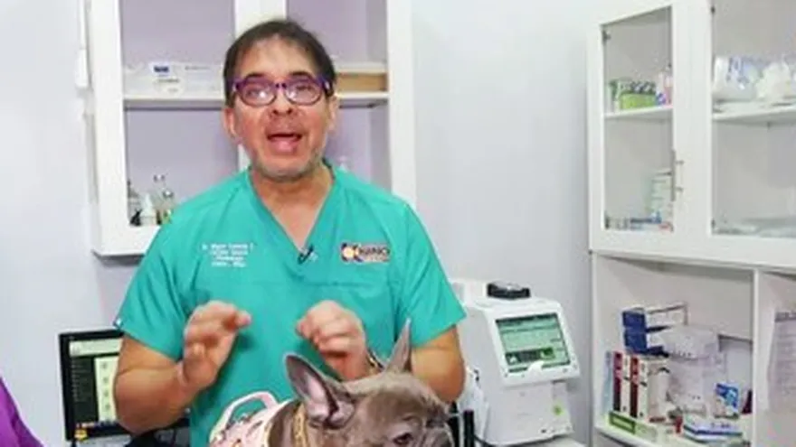 Tío Knino: Vacunas en perritos