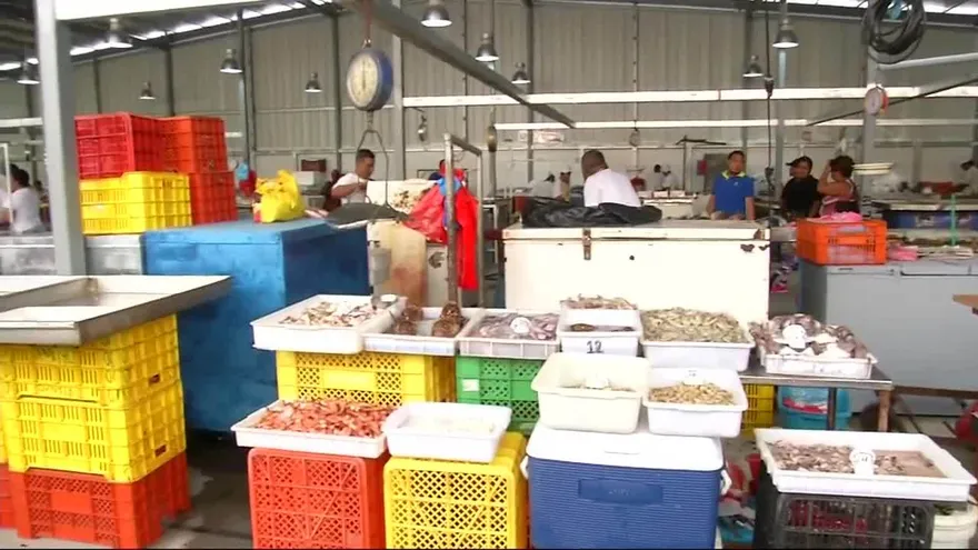Comerciantes del Mercado de Mariscos denuncian que ventas bajan
