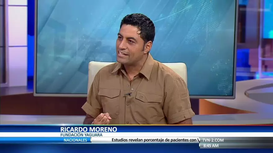 Rescatando el jaguar