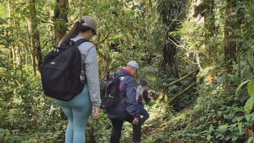 Turistas en áreas protegidas