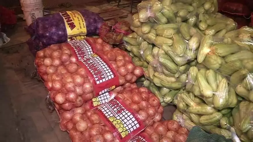 Productores en alerta por precio de la cebolla