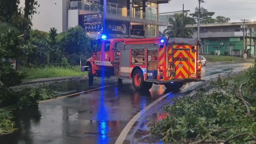 Bomberos realizan una limpieza de árboles en una avenida en Colón.