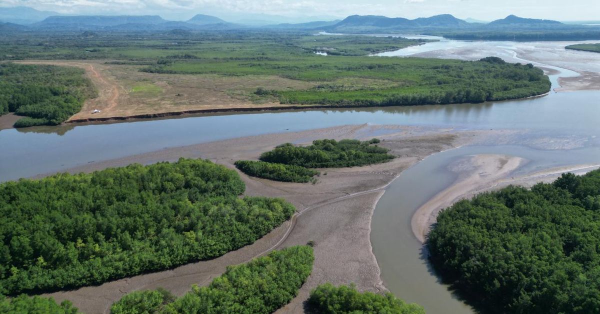 MiAmbiente analiza supuesto impacto de proyecto Puerto Barú en Coiba tras advertencia de la Unesco