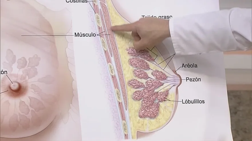 Dolor en los senos, ¿qué puede significar?
