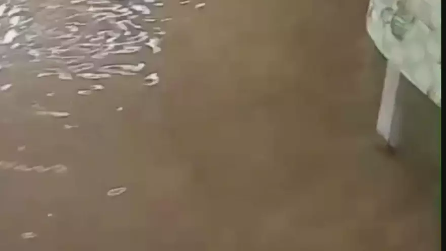 El agua se introdujo a la vivienda