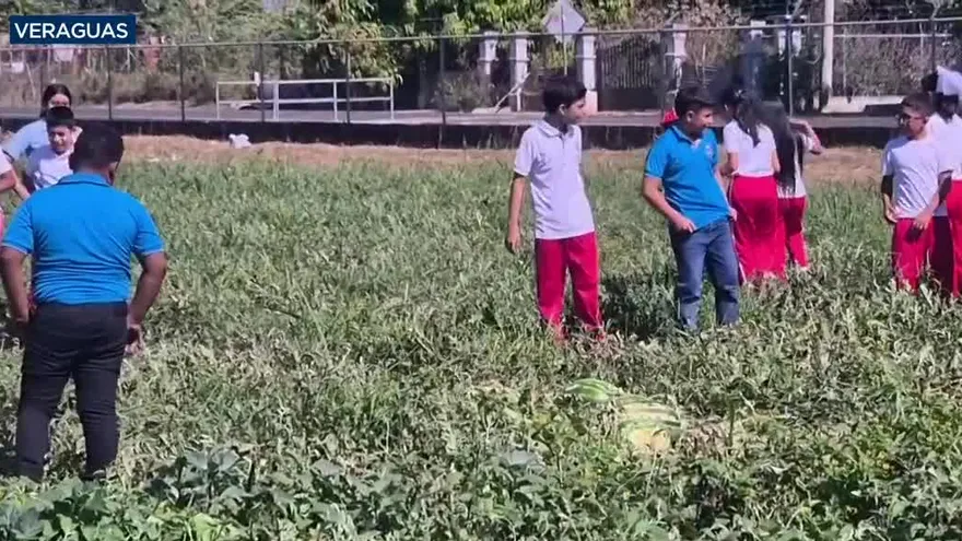 Estudiantes de La Mesa de Veraguas desarrollan un huerto escolar con fondo agropecuario