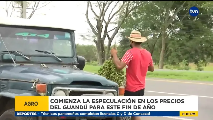 Producto más perseguido paras las cenas navideñas es el guandú