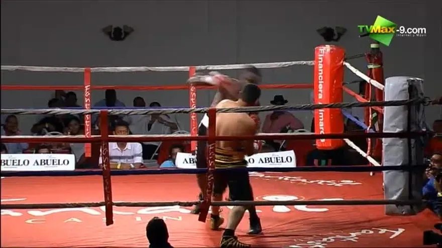 Mira este espectacular nocaut