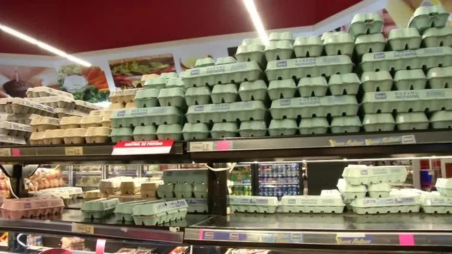 Mayor consumo de huevo en Panamá