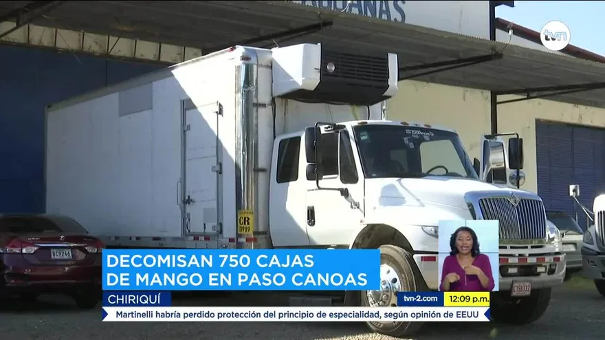 Decomisan 750 cajas de mangos en Paso Canoas