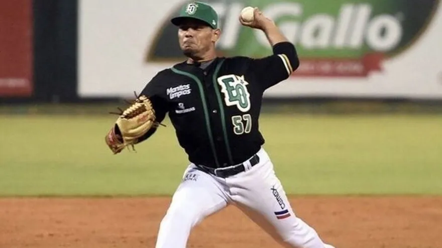 Panameños en la final del béisbol dominicano