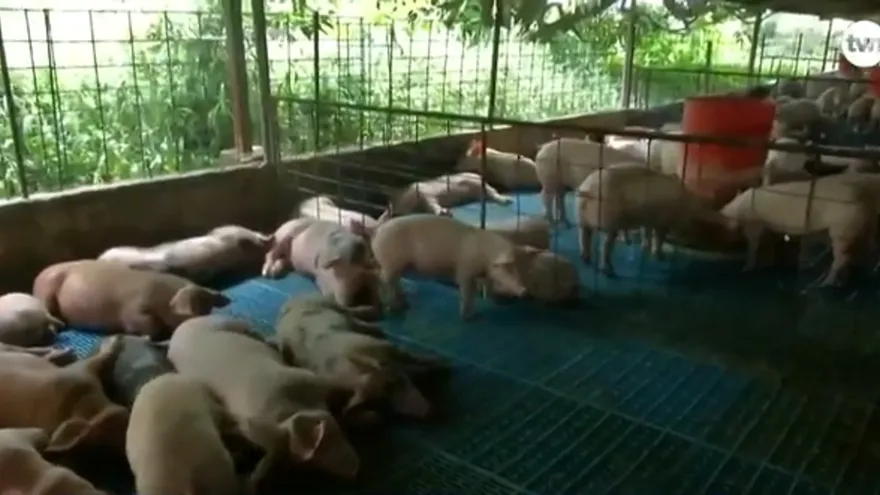 Tanques sépticos, lixiviados del vertedero y coliformes fecales: la peligrosa mezcla que se encontró en los ríos de Azuero