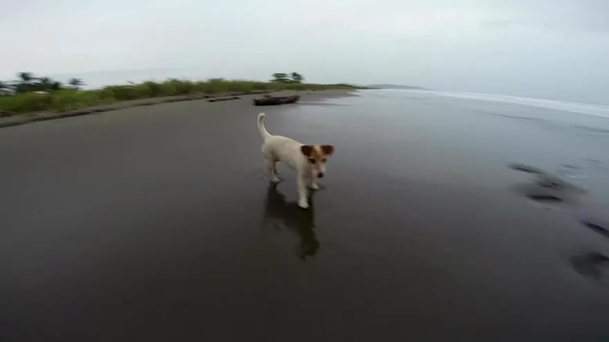 Isla Caña en Pedasí