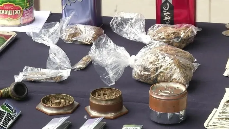 Decomisan droga y detienen a 20 personas en Santa Librada