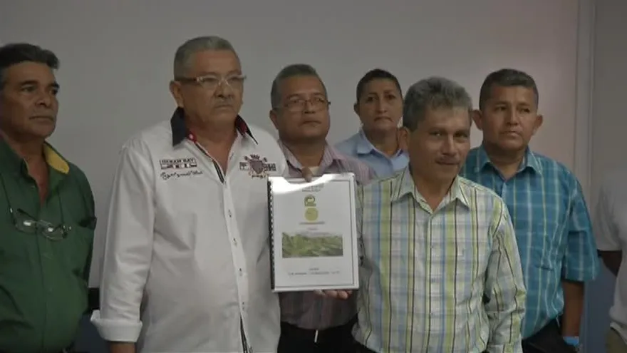 Entregan estudios técnicos para reactivar exportación bananera en Chiriquí