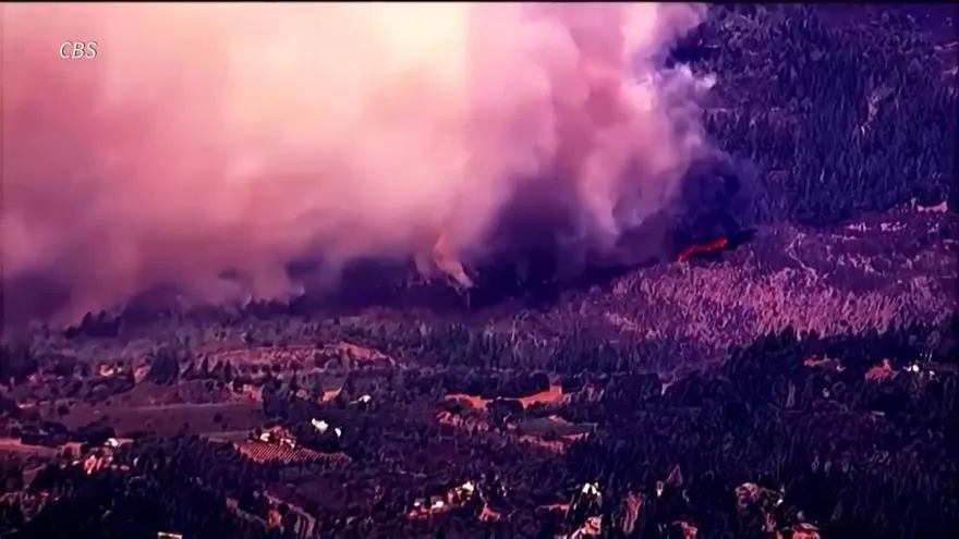 Incendios devoran viñedos del valle de Napa en EEUU