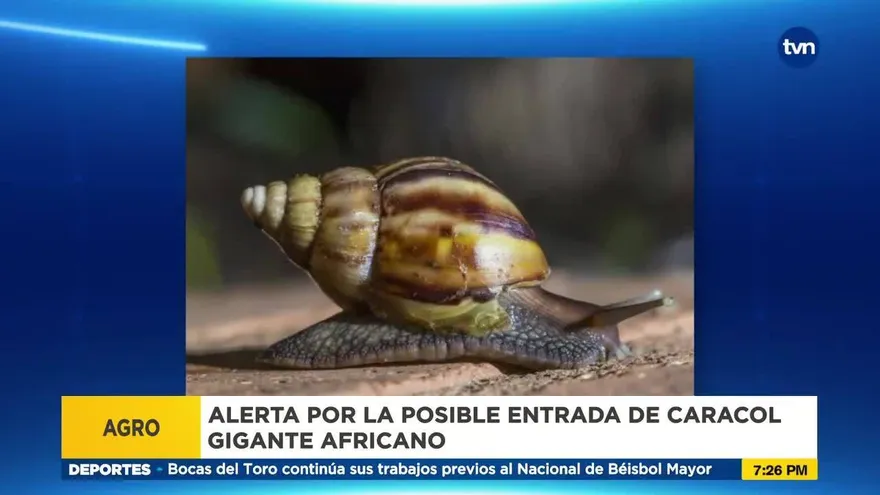 Preocupa posible ingreso de plagas