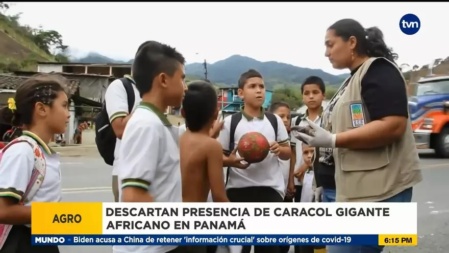 Descartan presencia de caracol gigante africano en Panamá