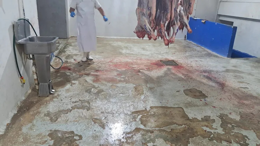 Minsa ordena cierre temporal del matadero municipal de Colón por incumplimiento de normas sanitarias