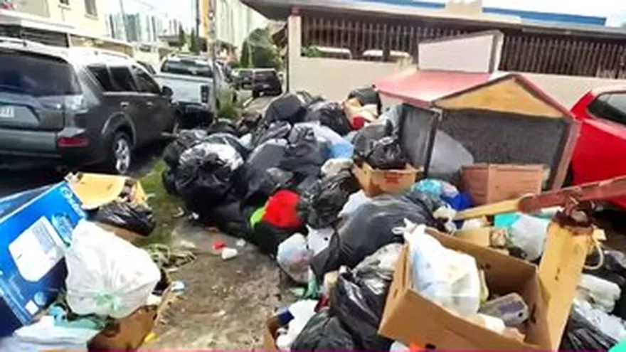 Chollykid desde Bethania