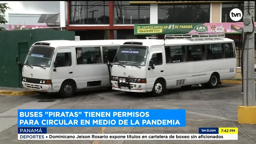 Buses ‘piratas’ tienen permisos para circular en medio de la pandemia