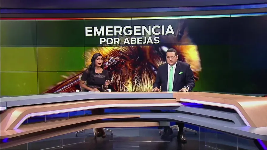 Noticiero Estelar 17 de mayo del 2017 - Bloque 6