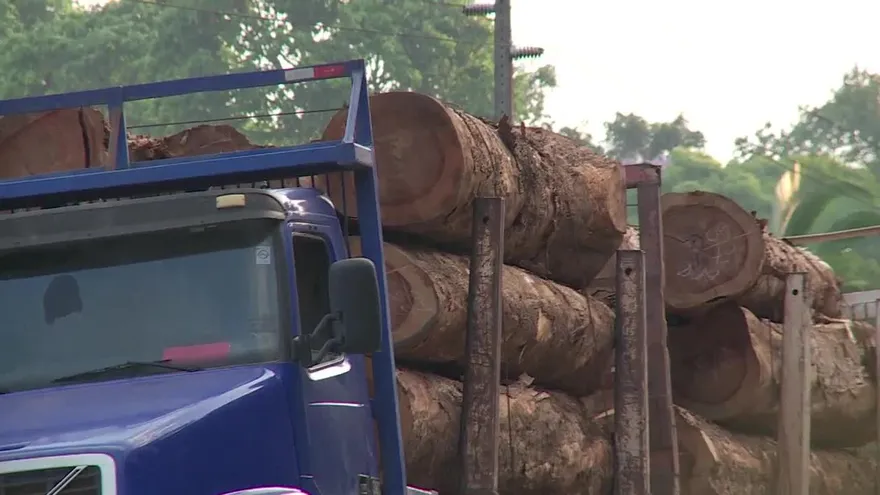 Mayor programa ambiental de Brasil alcanza su meta