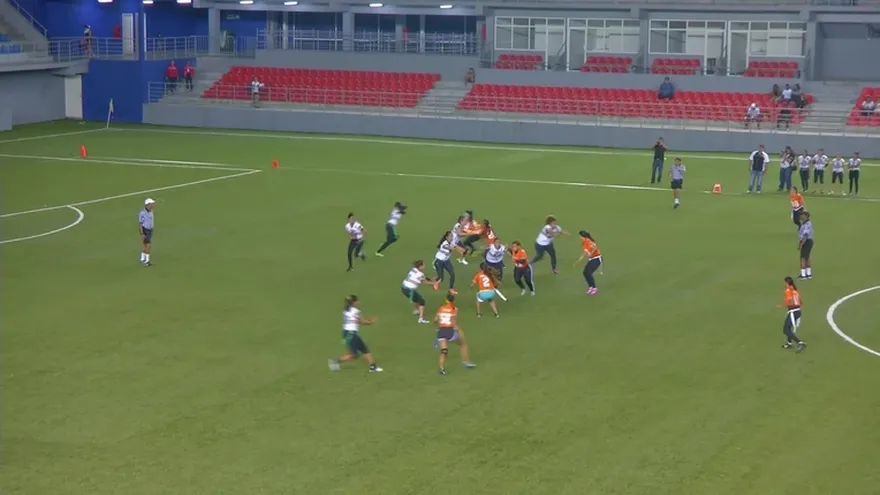 Black Hawks 14-0 Dolphins