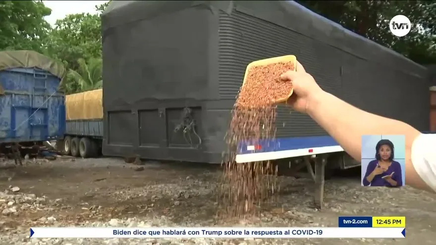 Temen pérdida de producción de sorgo
