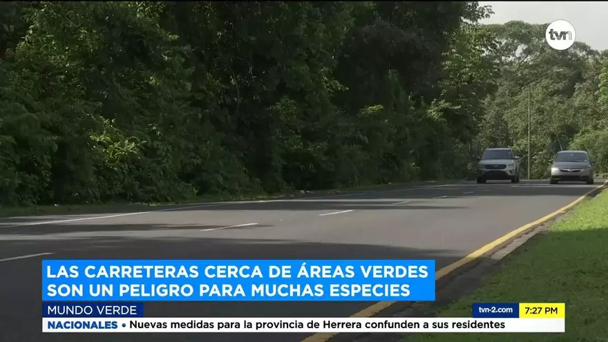 Mundo Verde: Peligro en las vías
