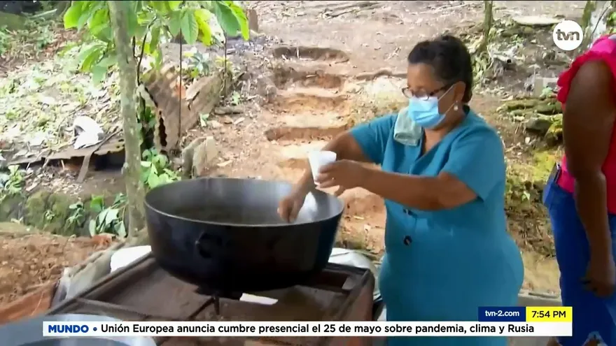 Mundo Verde: Estufas ecológicas