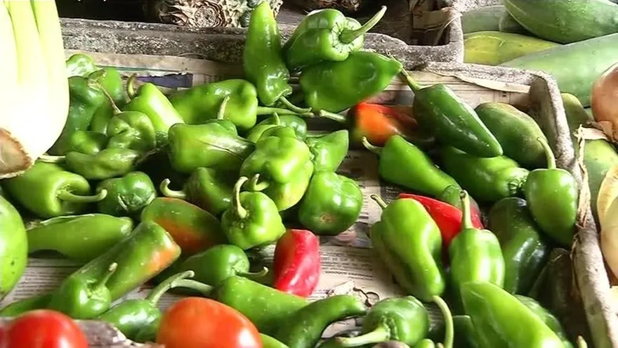 Medida de control de precios será extendida