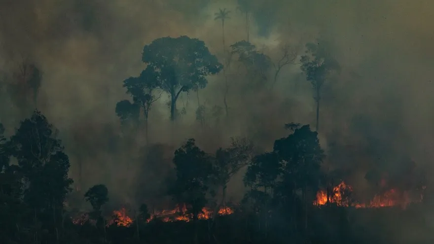 Incendios en Brasil continúan en aumento a pesar de prohibición