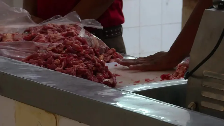 Desmienten presencia de brucelosis en Panamá Oeste