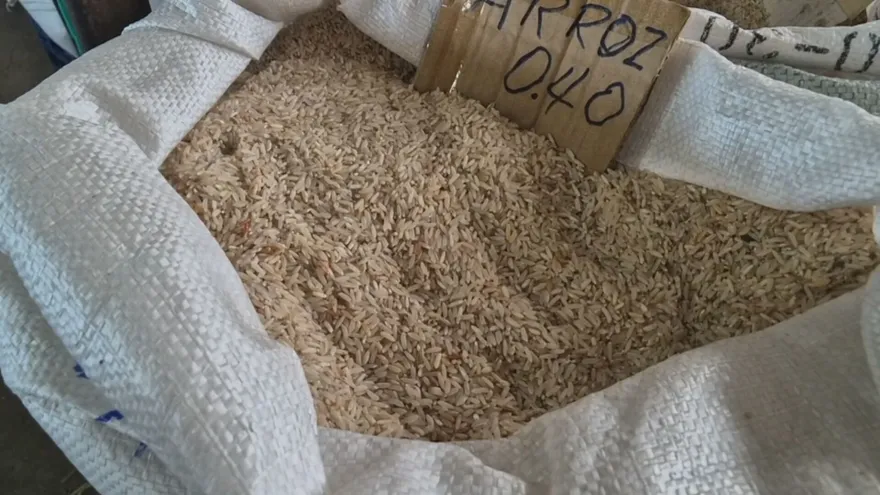 Arroceros chiricanos exigen pago de compensaciones y revisión de importaciones